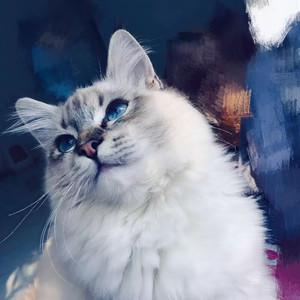 天河上面一座桥