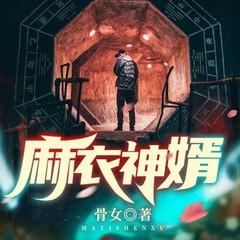 麻衣神婿(多人剧)