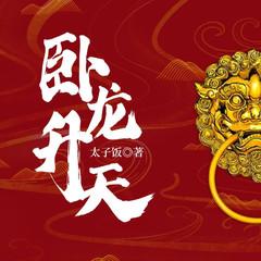卧龙赘婿