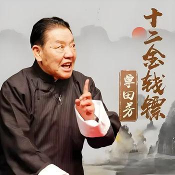 单田芳-十二金钱镖