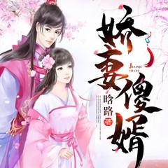 娇妻傻婿