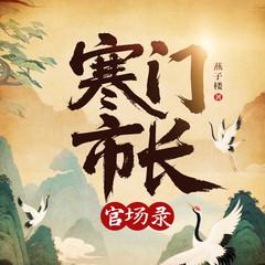 寒门市长官场录