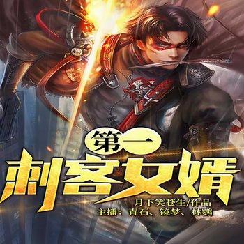 第一刺客女婿(多人剧)