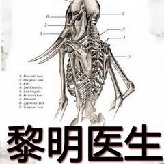 黎明医生